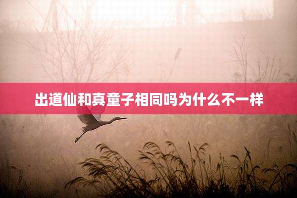 出道仙和真童子相同吗为什么不一样