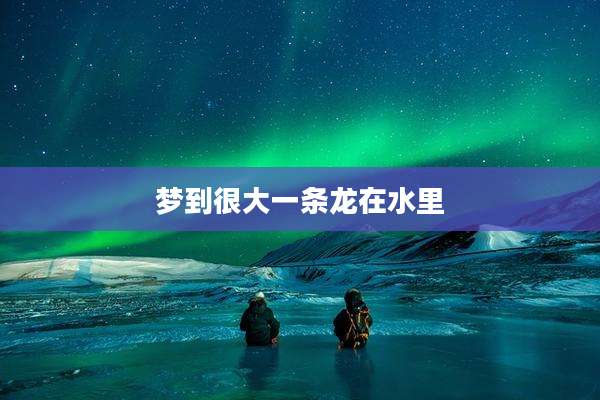 梦到很大一条龙在水里