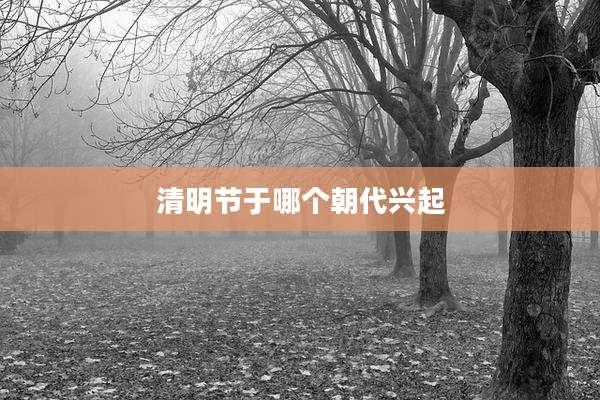 清明节于哪个朝代兴起