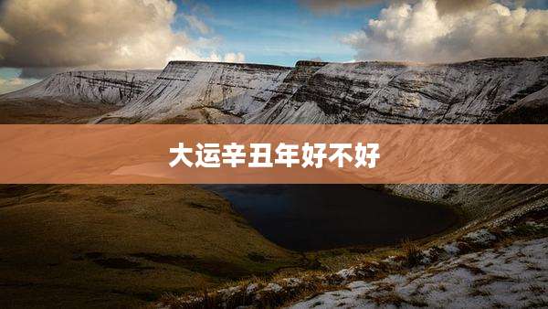 大运辛丑年好不好