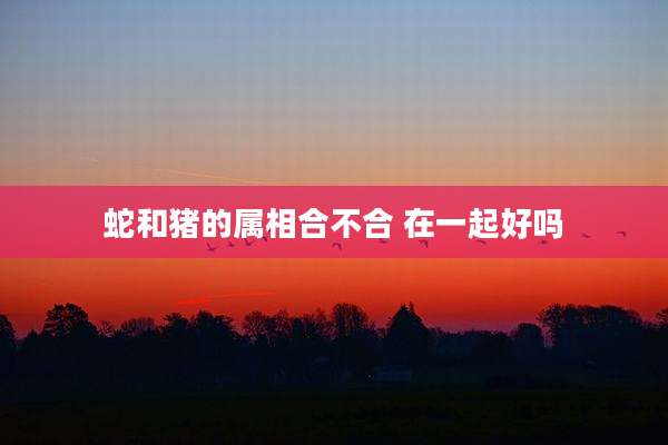 蛇和猪的属相合不合 在一起好吗