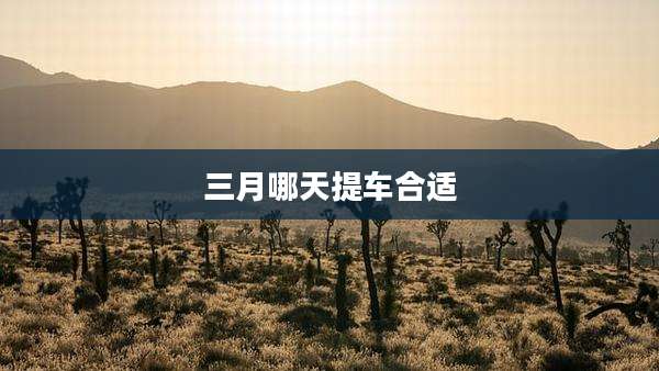 三月哪天提车合适