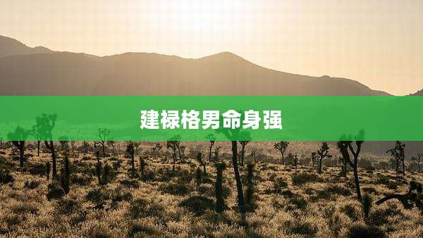 建禄格男命身强