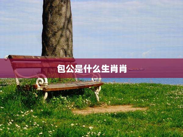 包公是什么生肖肖