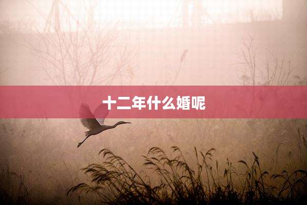 十二年什么婚呢