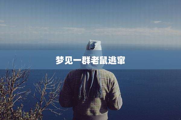 梦见一群老鼠逃窜