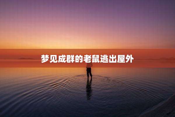 梦见成群的老鼠逃出屋外