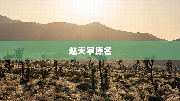 赵天宇原名