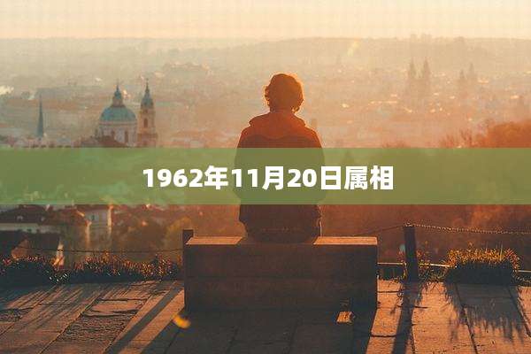 1962年11月20日属相