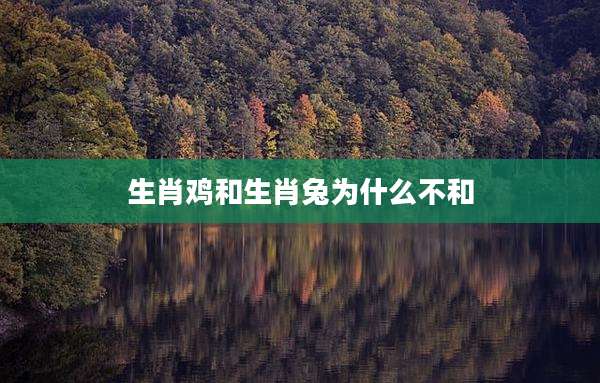 生肖鸡和生肖兔为什么不和