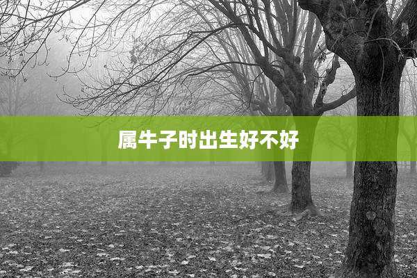 属牛子时出生好不好
