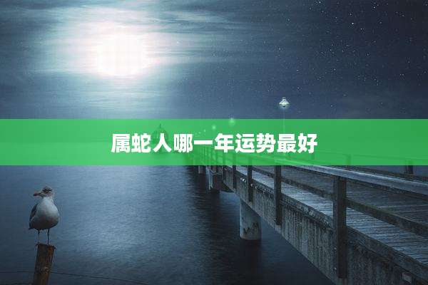 属蛇人哪一年运势最好