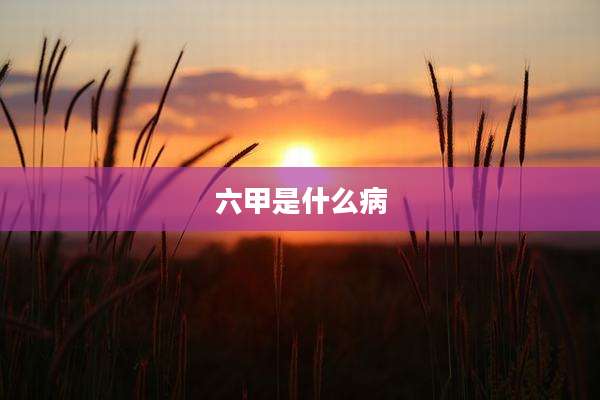 六甲是什么病