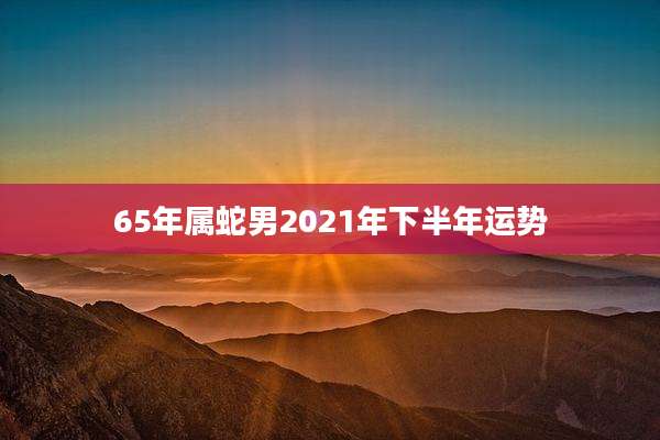 65年属蛇男2021年下半年运势
