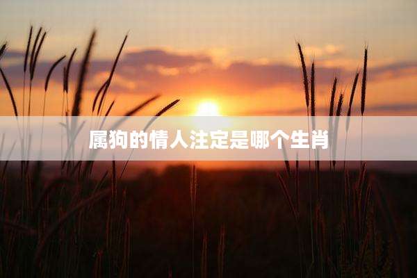 属狗的情人注定是哪个生肖