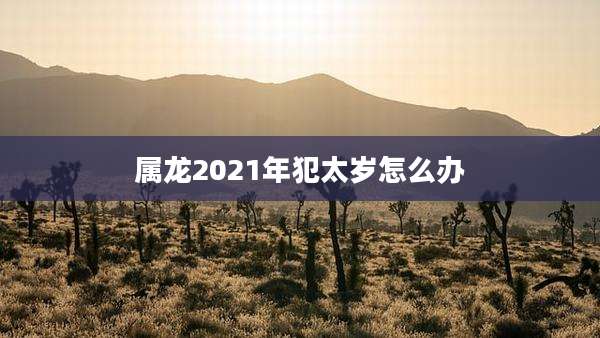 属龙2021年犯太岁怎么办