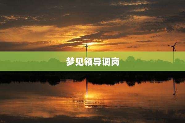 梦见领导调岗