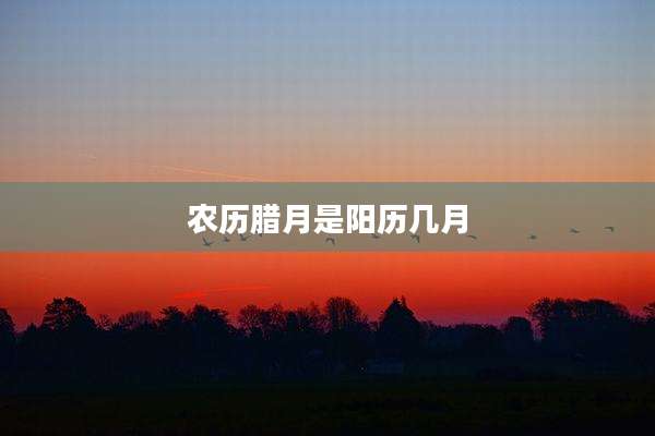 农历腊月是阳历几月