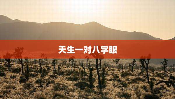 天生一对八字眼