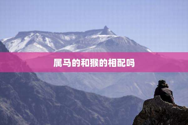 属马的和猴的相配吗