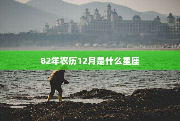 82年农历12月是什么星座