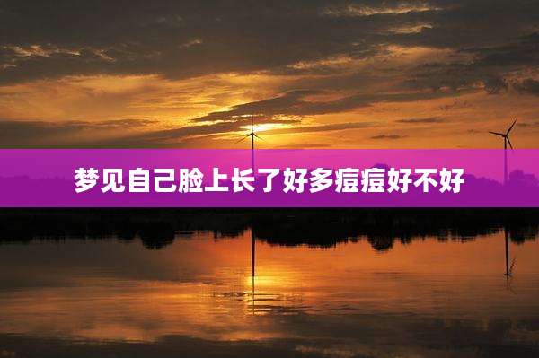梦见自己脸上长了好多痘痘好不好