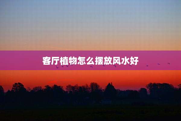 客厅植物怎么摆放风水好