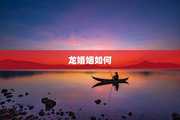 龙婚姻如何