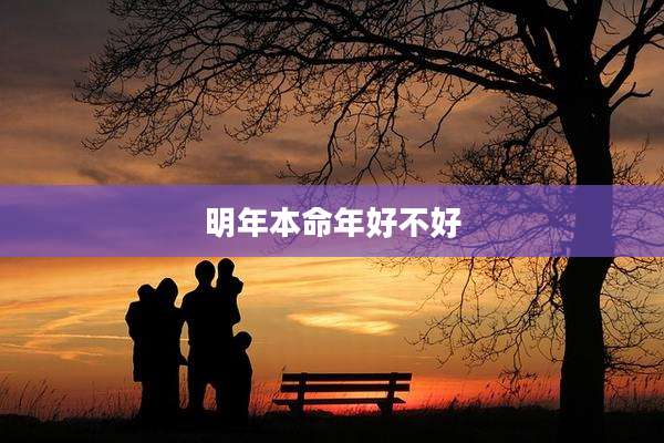 明年本命年好不好