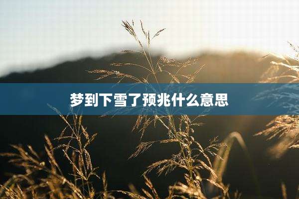 梦到下雪了预兆什么意思