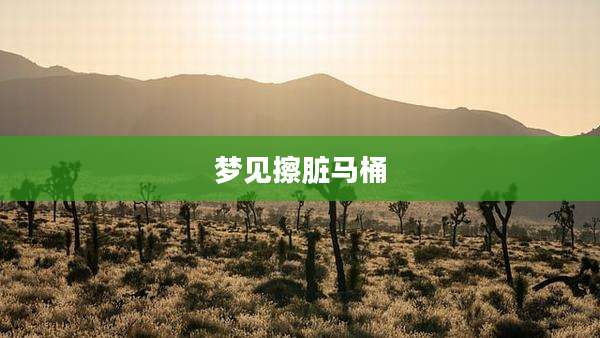 梦见擦脏马桶