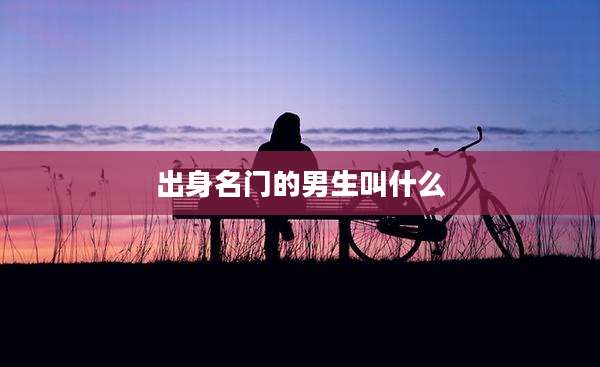 出身名门的男生叫什么