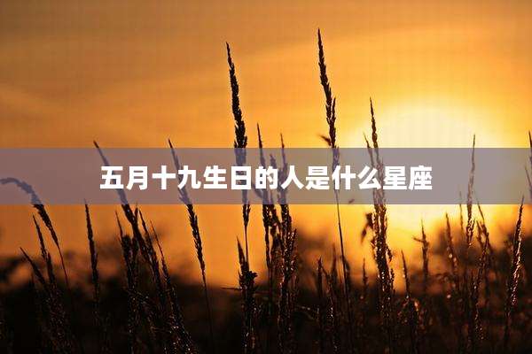五月十九生日的人是什么星座