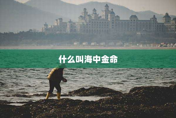 什么叫海中金命