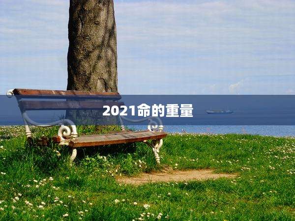 2021命的重量