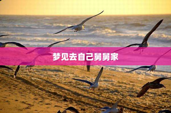 梦见去自己舅舅家