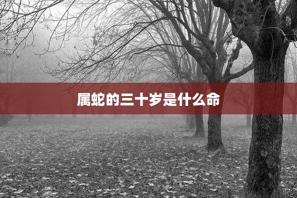 属蛇的三十岁是什么命