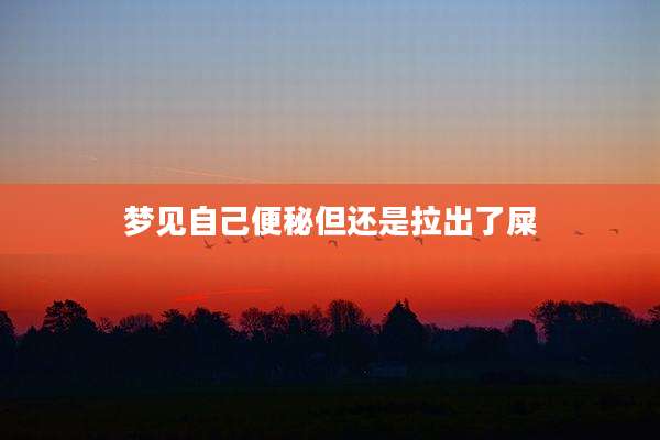 梦见自己便秘但还是拉出了屎