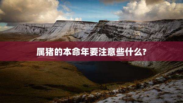 属猪的本命年要注意些什么?