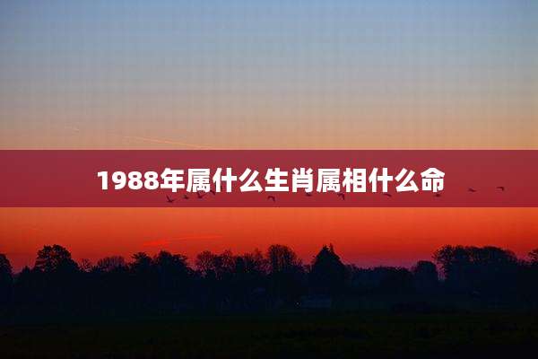 1988年属什么生肖属相什么命