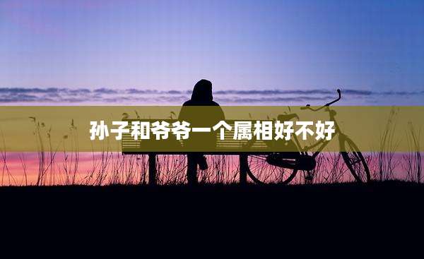 孙子和爷爷一个属相好不好