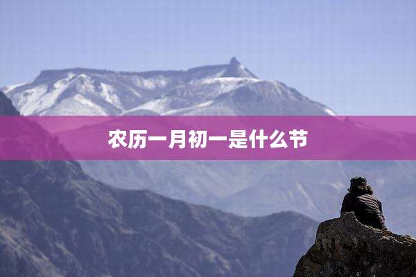 农历一月初一是什么节