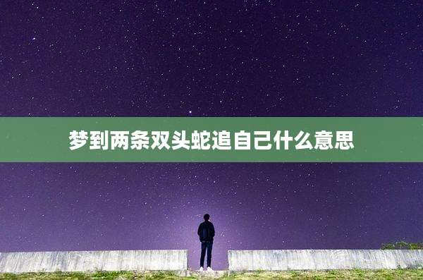 梦到两条双头蛇追自己什么意思