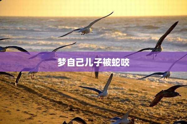梦自己儿子被蛇咬