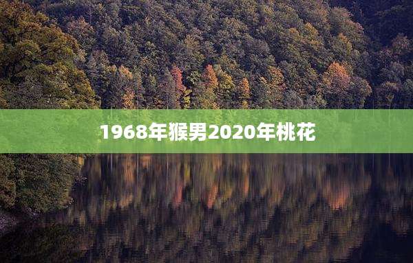 1968年猴男2020年桃花
