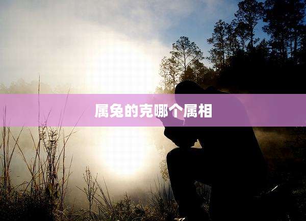 属兔的克哪个属相