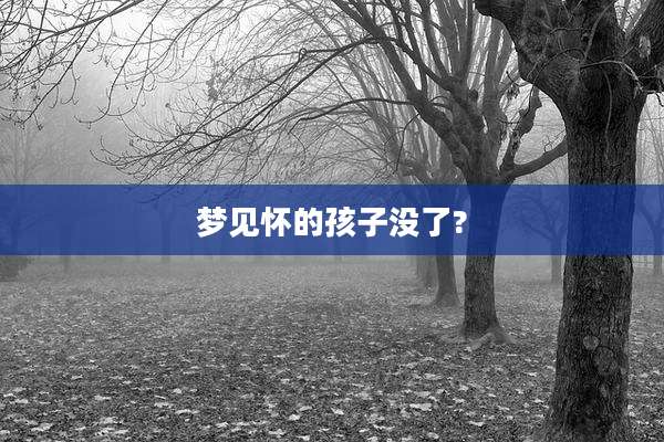 梦见怀的孩子没了?