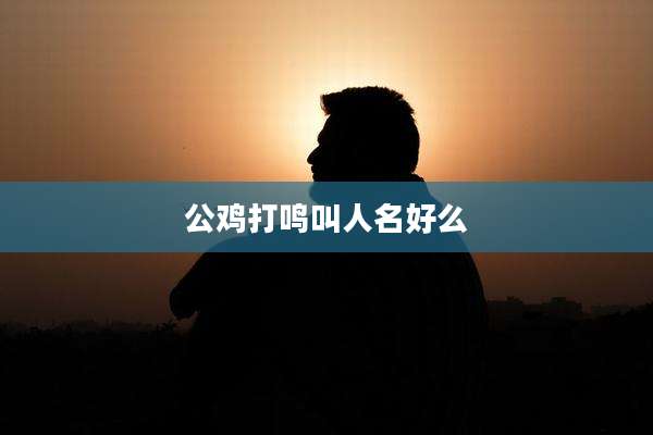 公鸡打鸣叫人名好么