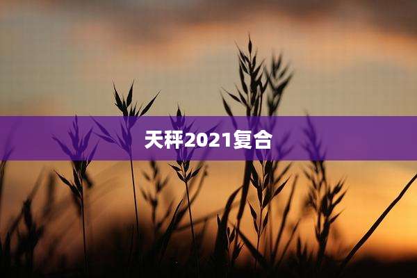 天秤2021复合