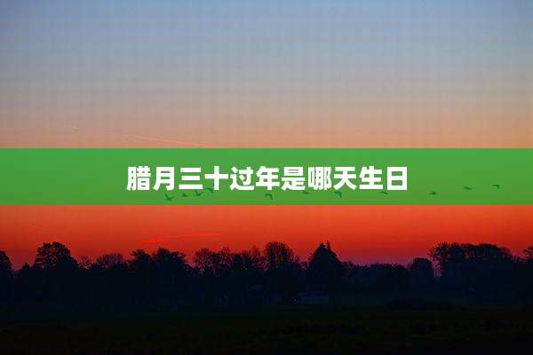 腊月三十过年是哪天生日